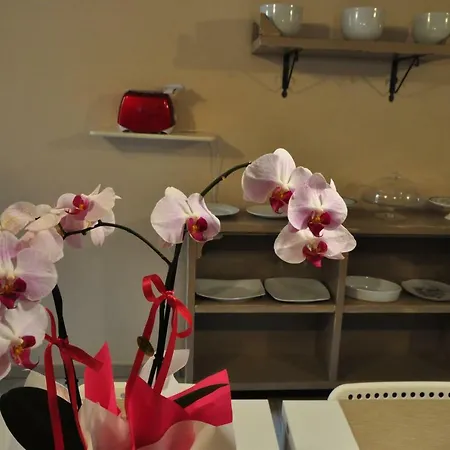 Guest house Le Finestre Sul Borgo